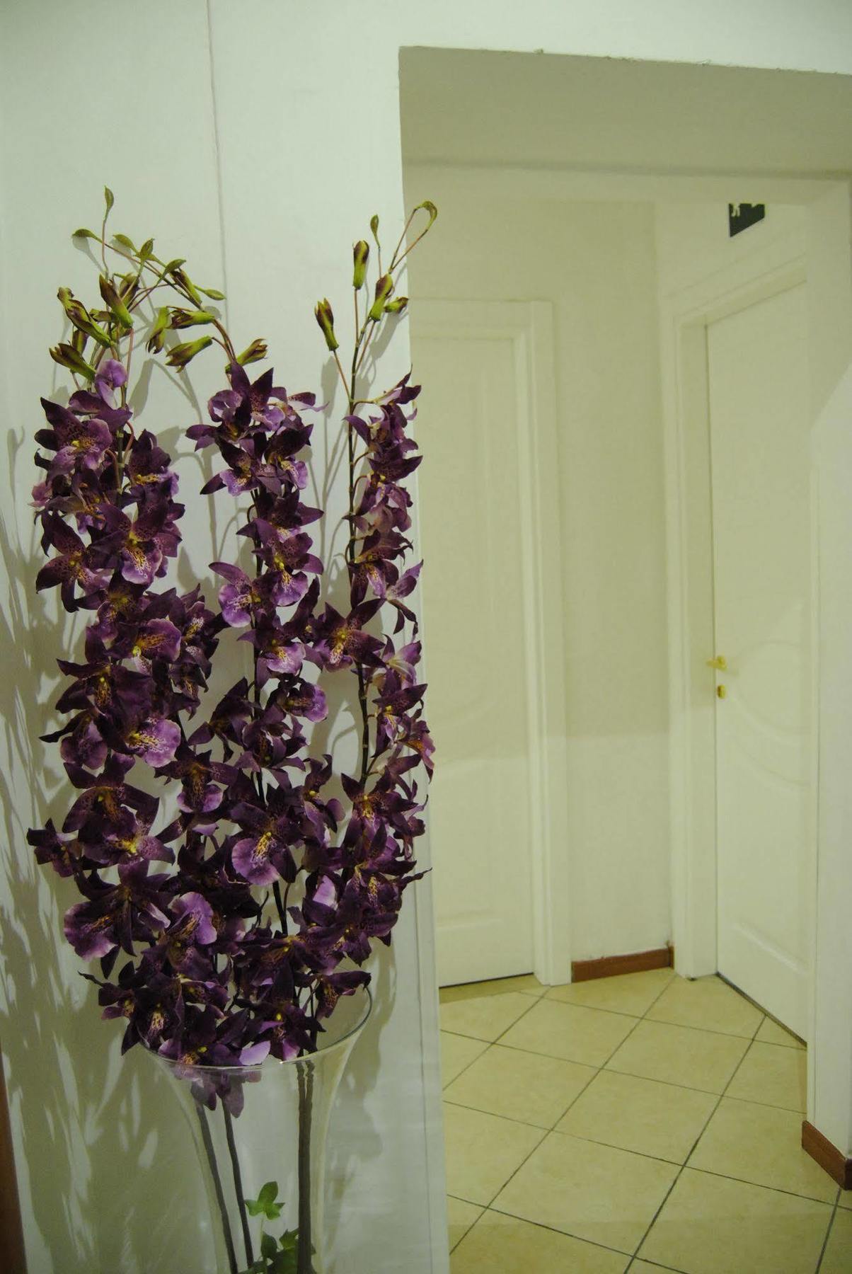 Adelaide House Hotel Флоренция Екстериор снимка